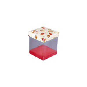 Cubebox view Vintage Sint