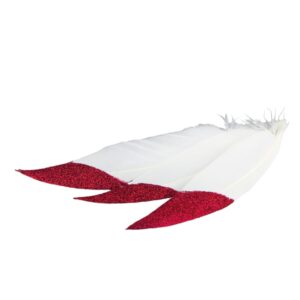 Witte veer met rode punt
