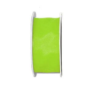Lint satijn appeltjes groen