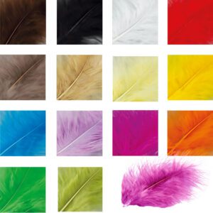 Veertjes diverse kleuren