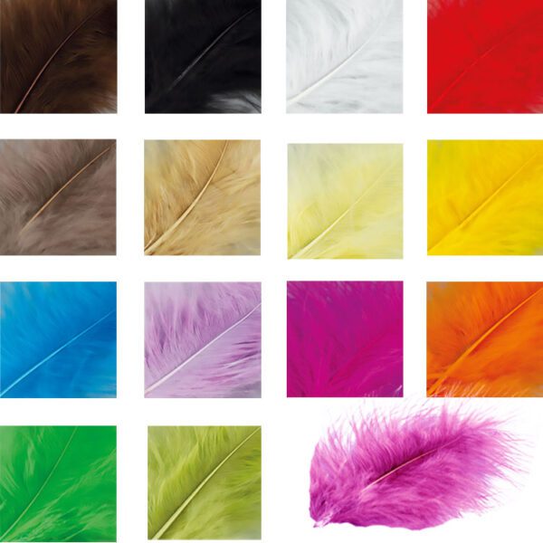 Veertjes diverse kleuren