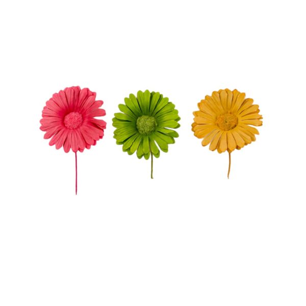 Gerbera - Afbeelding 2