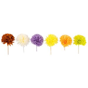 Dahlia