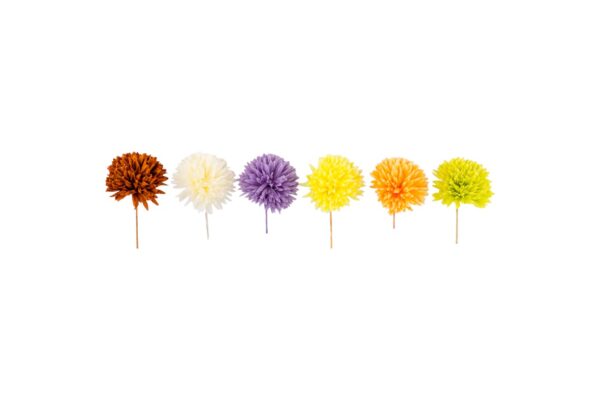 Dahlia