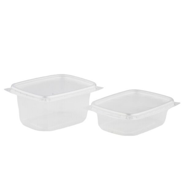 Rechthoekige transparante bakjes