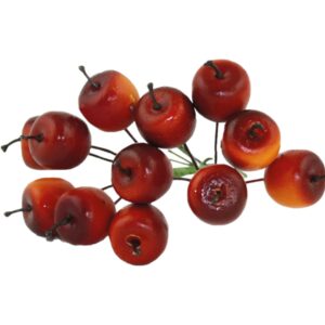 Bijsteker appel rood