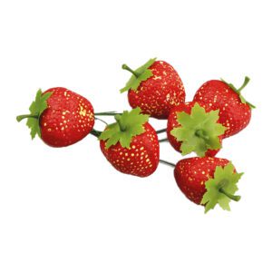 Bijsteker aardbei