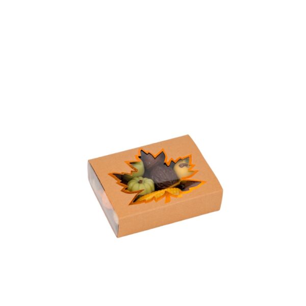 Herfst sleeve voor mica doosje - Afbeelding 2