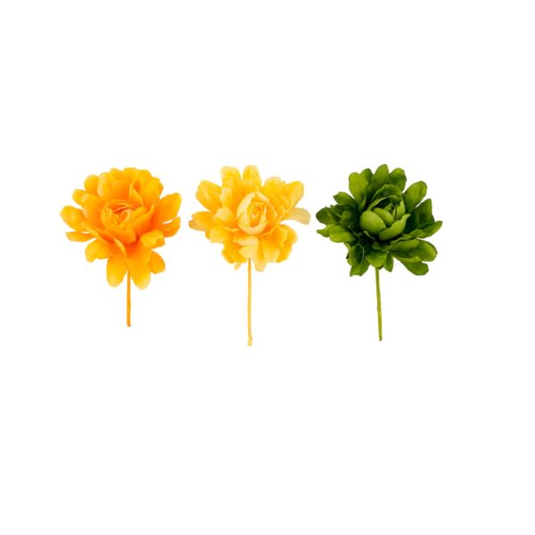 Camelia - Afbeelding 2