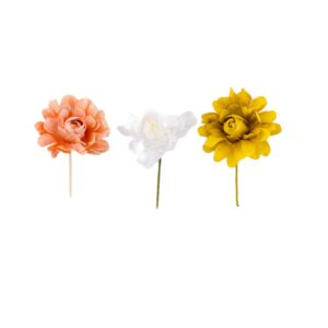 Camelia