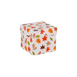 Cubebox Herfst print