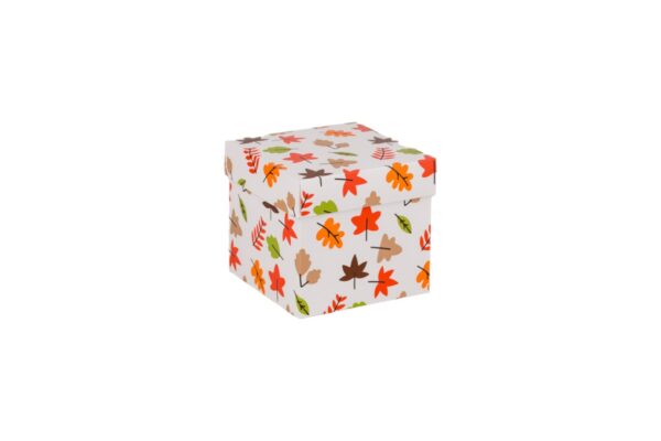 Cubebox Herfst print