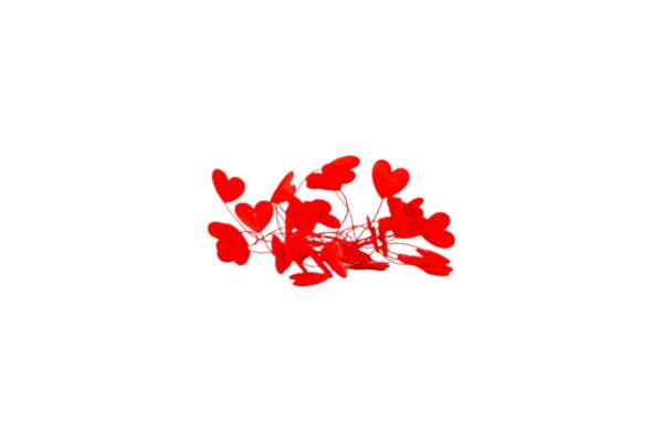 Bijsteker hartjes rood
